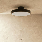 Bismuth Ceiling Light
