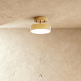 Bismuth Ceiling Light
