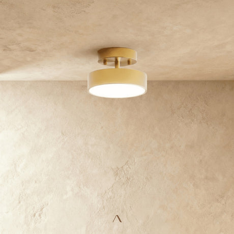 Bismuth Ceiling Light