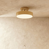 Bismuth Ceiling Light