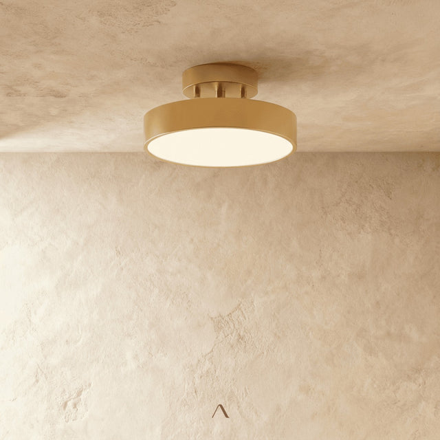 Bismuth Ceiling Light