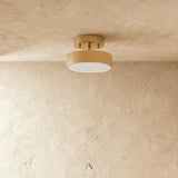 Bismuth Ceiling Light