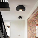 Blaubeuren Ceiling Light