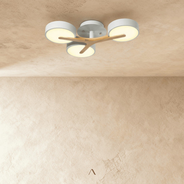 Boom Ceiling Light