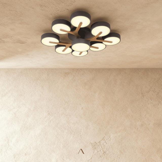Boom Ceiling Light