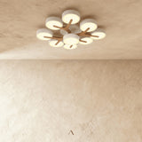 Boom Ceiling Light