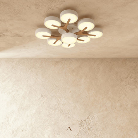 Boom Ceiling Light