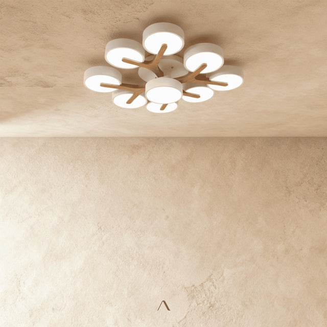 Boom Ceiling Light