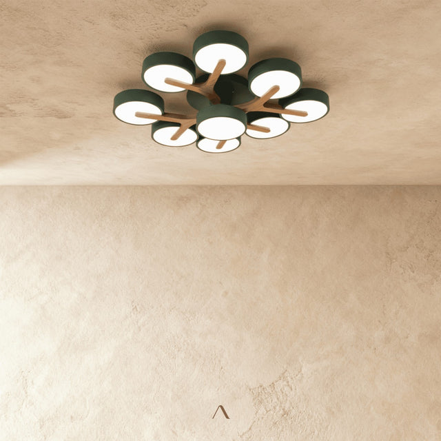 Boom Ceiling Light