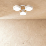 Boom Ceiling Light