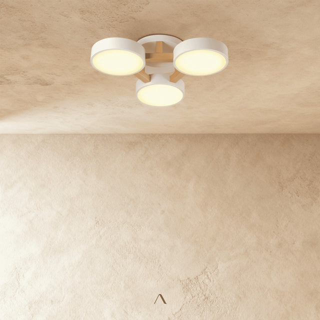 Boom Ceiling Light