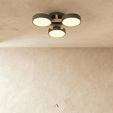 Boom Ceiling Light