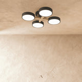 Boom Ceiling Light