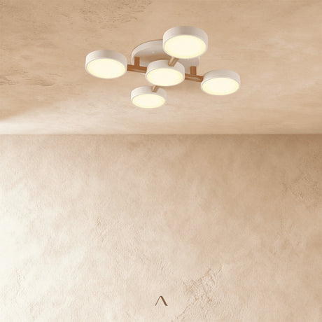 Boom Ceiling Light