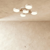 Boom Ceiling Light