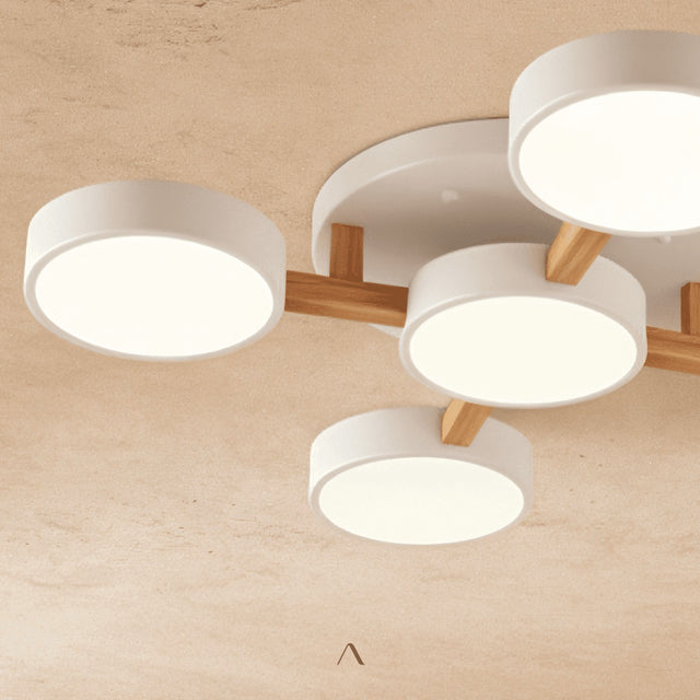 Boom Ceiling Light