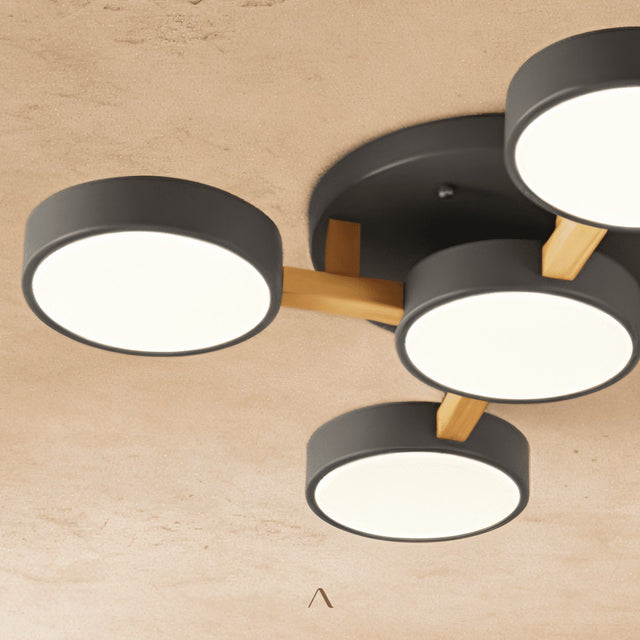 Boom Ceiling Light
