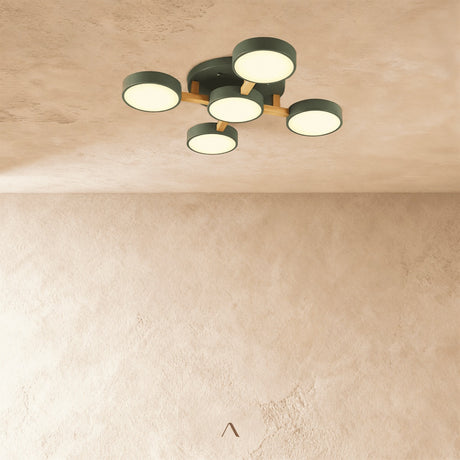 Boom Ceiling Light