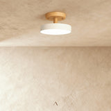 Boom Ceiling Light