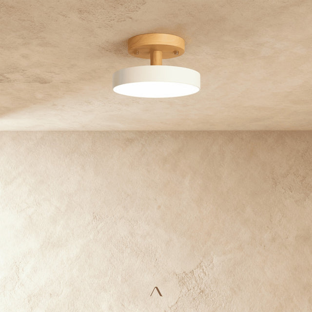 Boom Ceiling Light