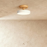 Boom Ceiling Light
