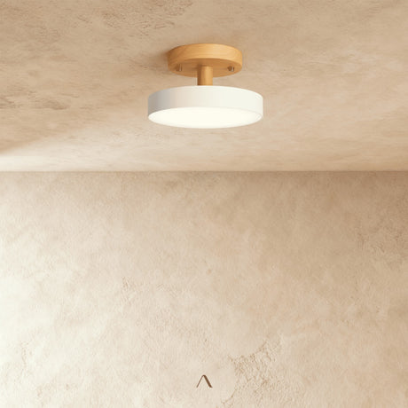 Boom Ceiling Light
