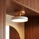 Boom Ceiling Light
