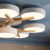 Boom Ceiling Light
