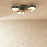 Boom Ceiling Light