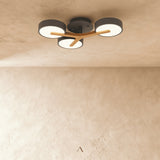 Boom Ceiling Light