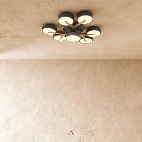 Boom Ceiling Light