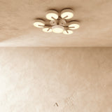 Boom Ceiling Light