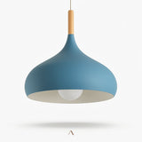Boppard Pendant Light
