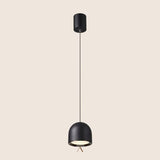Borris Pendant Light