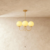 Bosa Chandelier