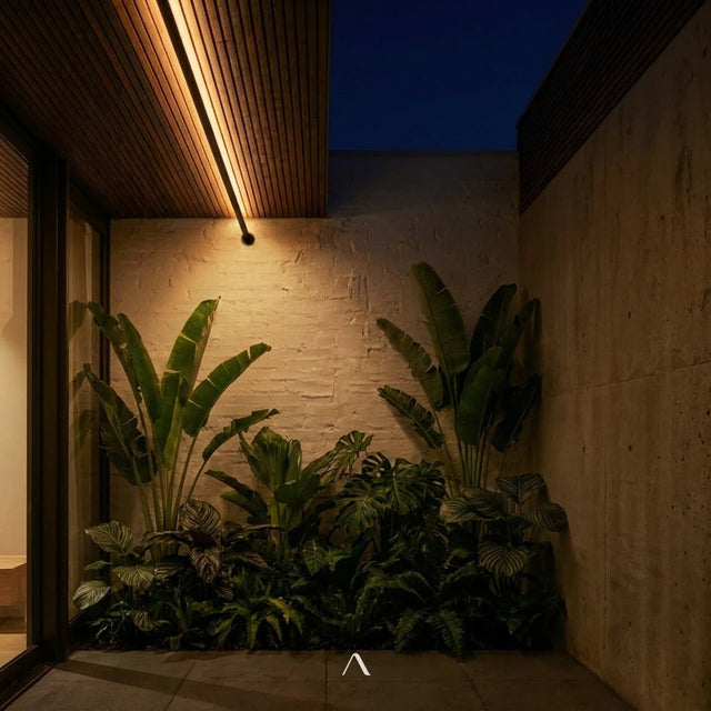 Bract Wall Lamp