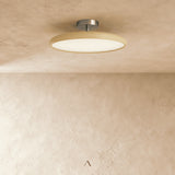Breede Ceiling Light