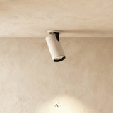 Caine Downlight