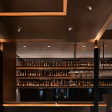 Caine Downlight