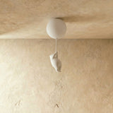 Calyx Ceiling Light