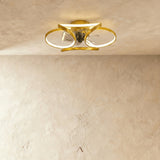 Capillatus Ceiling Light