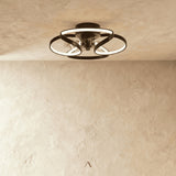 Capillatus Ceiling Light