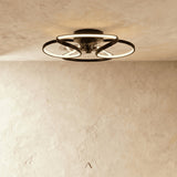 Capillatus Ceiling Light