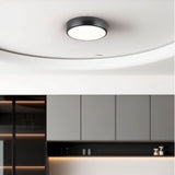 Balzheim Ceiling Light