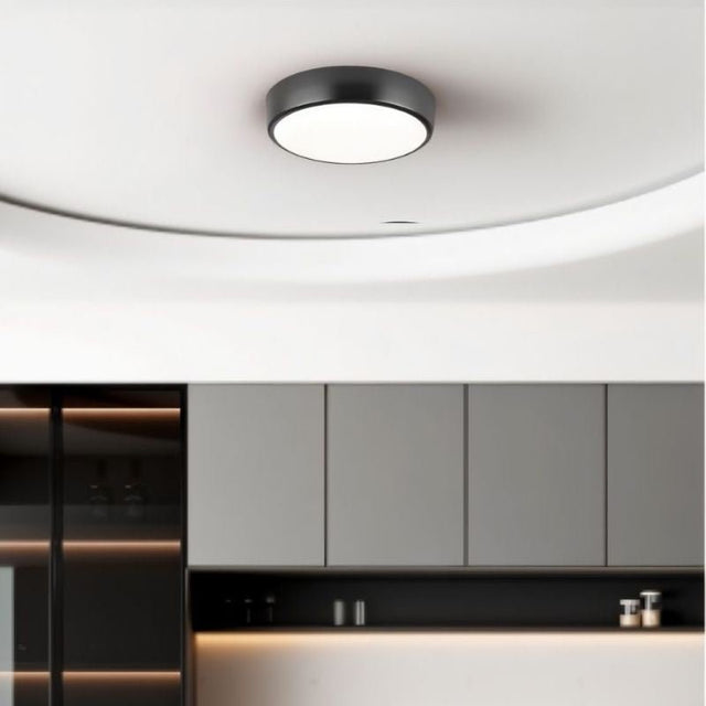 Balzheim Ceiling Light