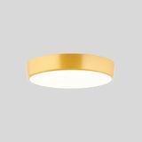Balzheim Ceiling Light