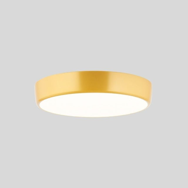 Balzheim Ceiling Light