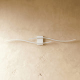 Celestite Wall Lamp