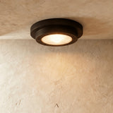 Cesny Ceiling Lamp