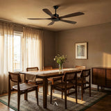 Cirrus Ceiling Fan